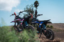 Why You Need a Mini Bike?