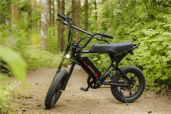 What Electric Dirt Bike Is Street Legal? 5 Models You Can Plate Today - HoverHearts