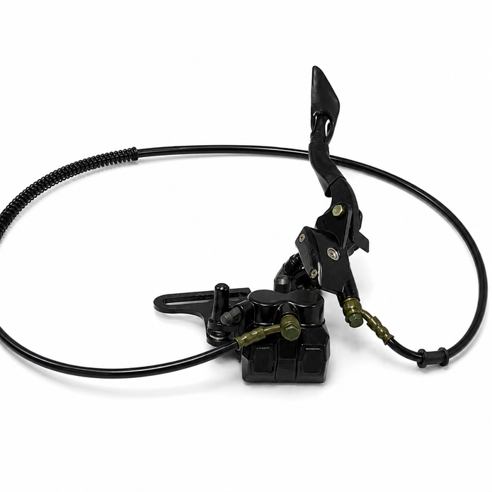 DZ009 Brake Lever and Brake System