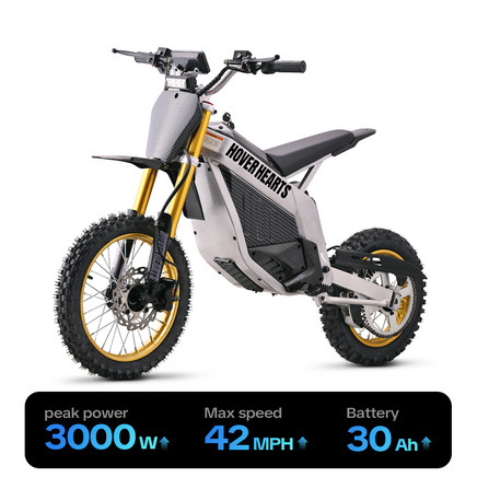 HoverHearts Electric Dirt Bike DZ009 2.0